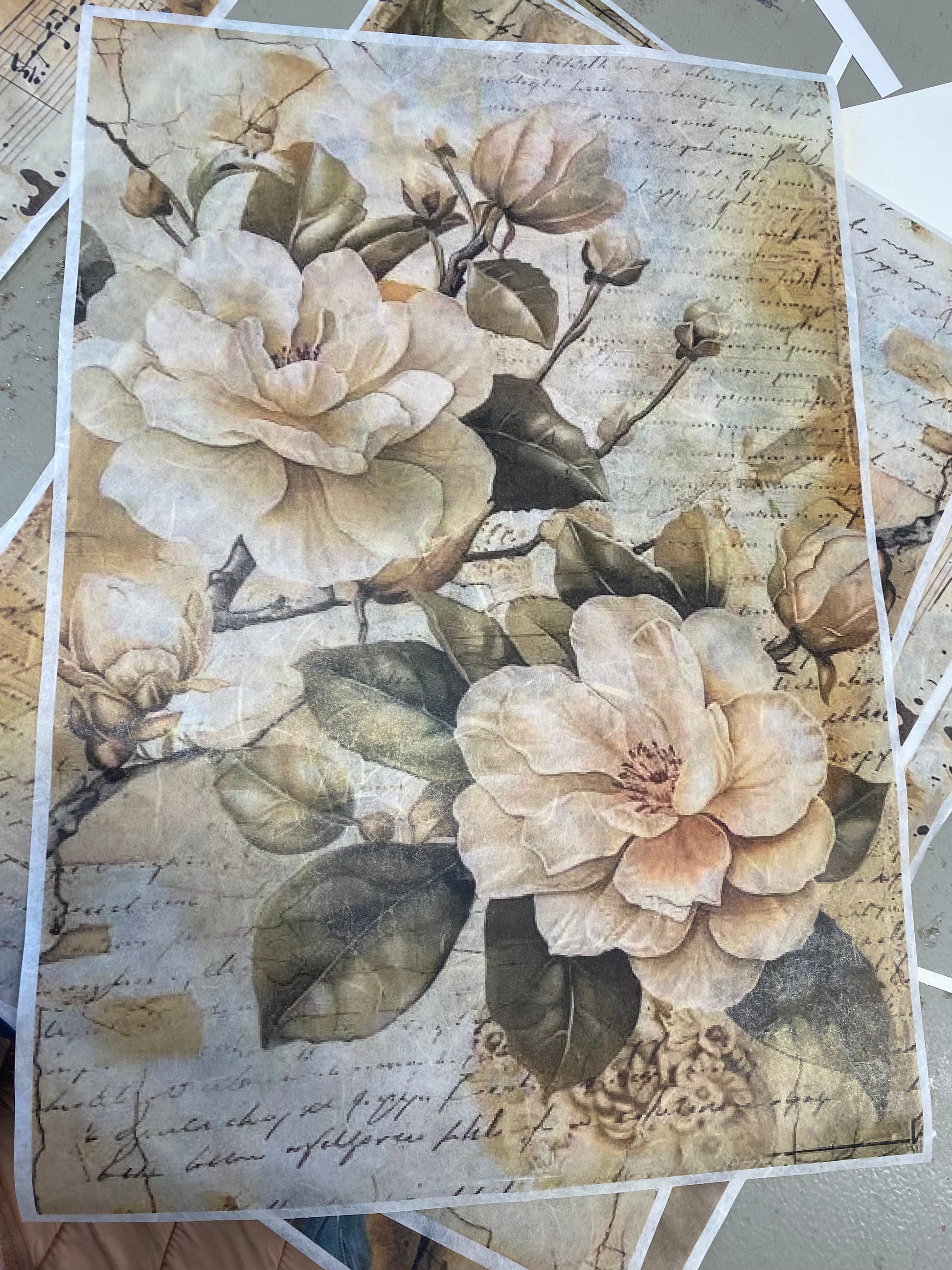 Carta di riso formato A3 fiori cipria