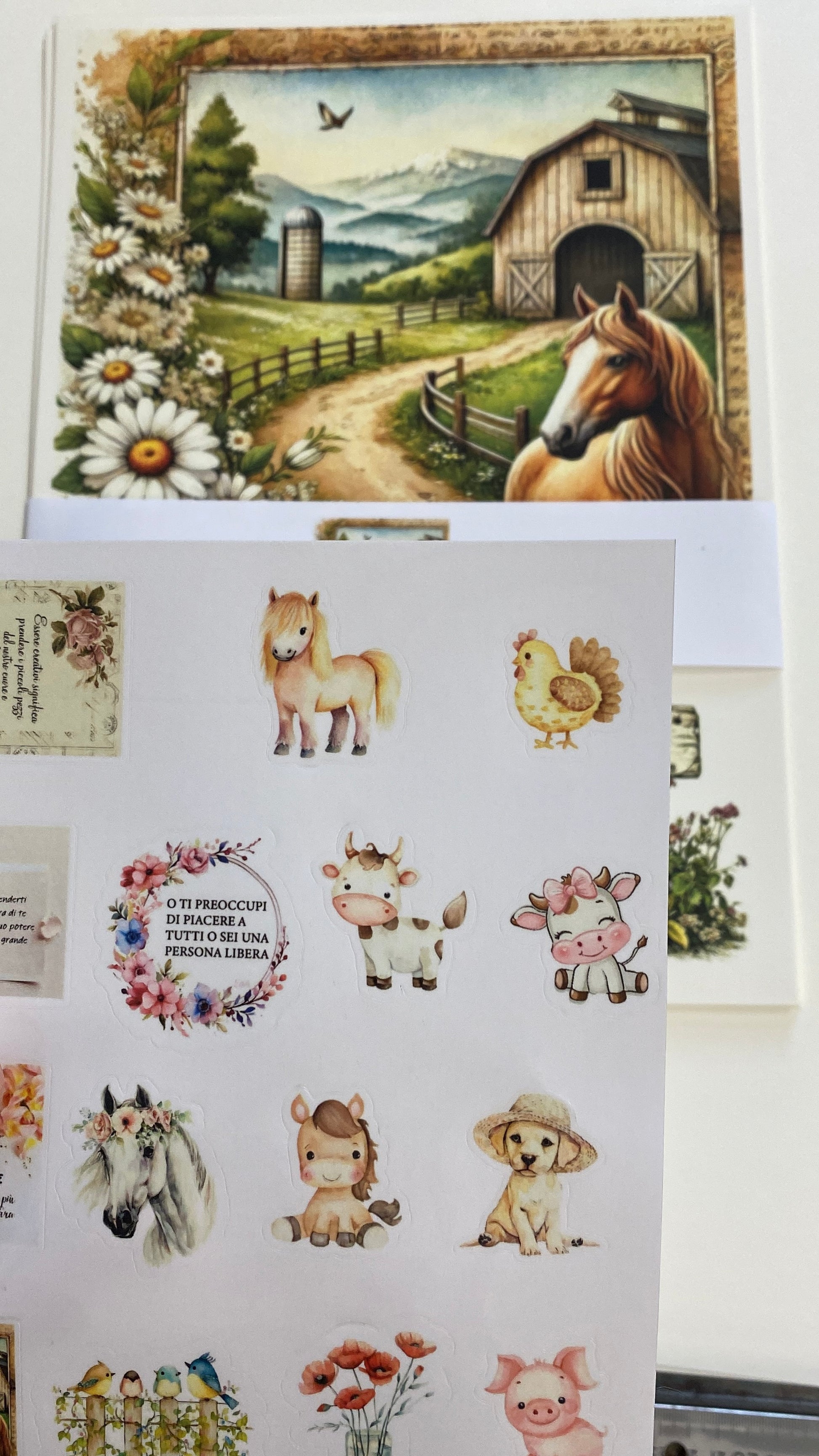 Bundle “campagna e dintorni “