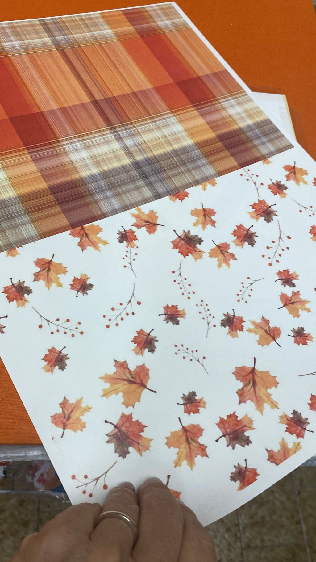 BUNDLE “Hello autumn”