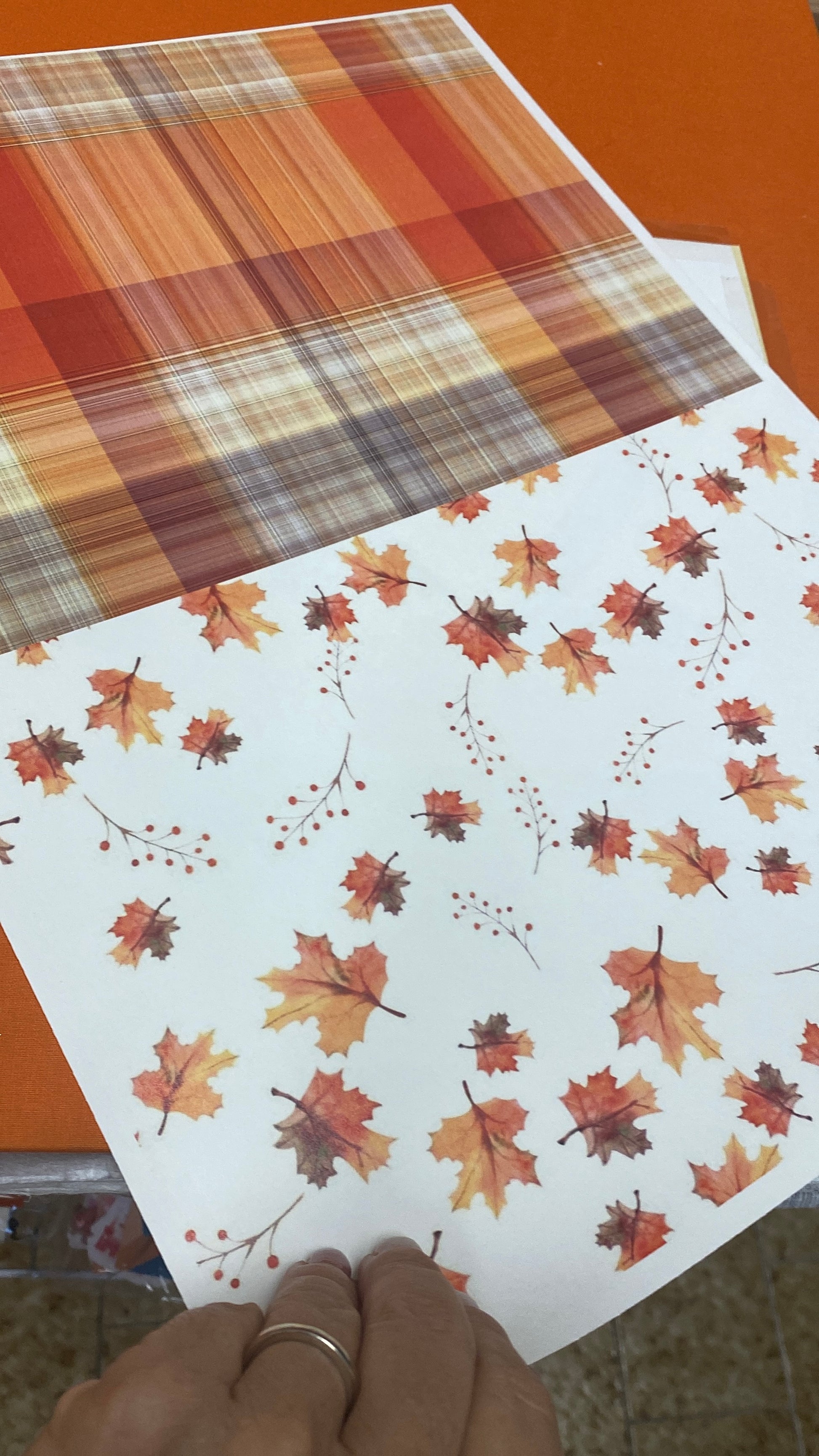 BUNDLE “Hello autumn”