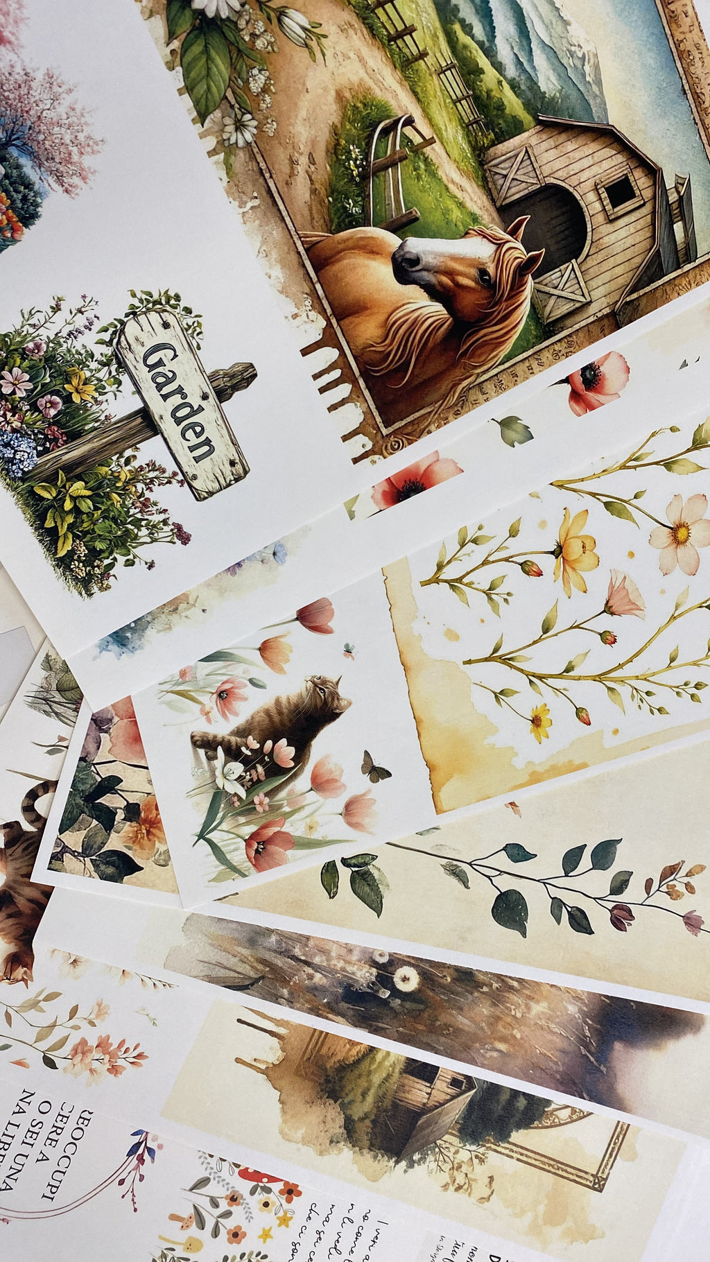 Set carte scrapbooking "campagna e dintorni"